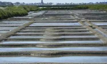 Marais Salants Guérande